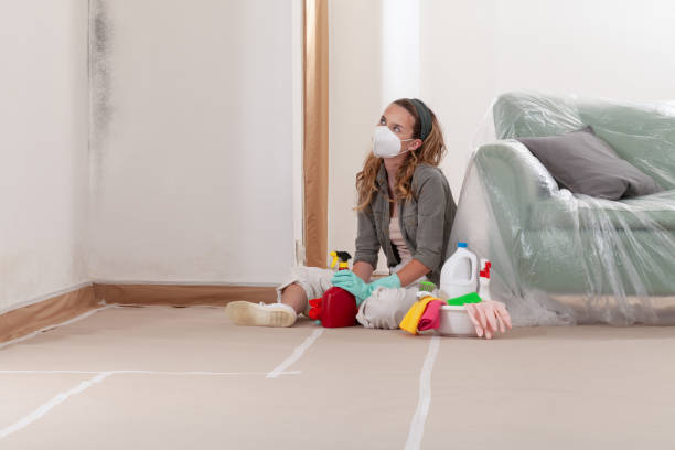 Reliable Commercial Mold Remediation contractor in East Brunswick, NJ by Mold Remediation HQ
